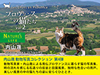 <b>体系的に学ぶデジタルカメラのしくみ</b>