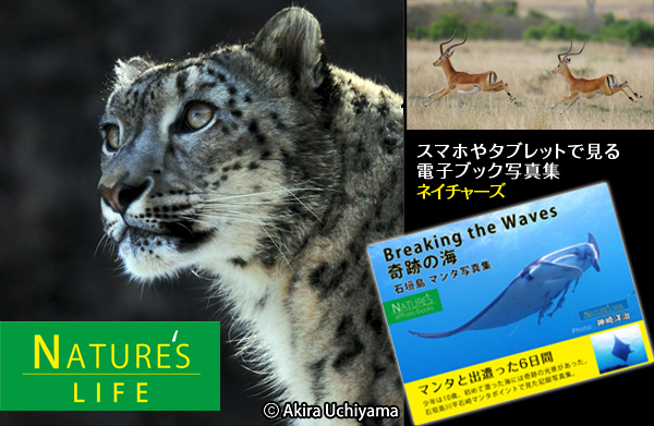 電子ブック写真集「NATURE's」イメージ